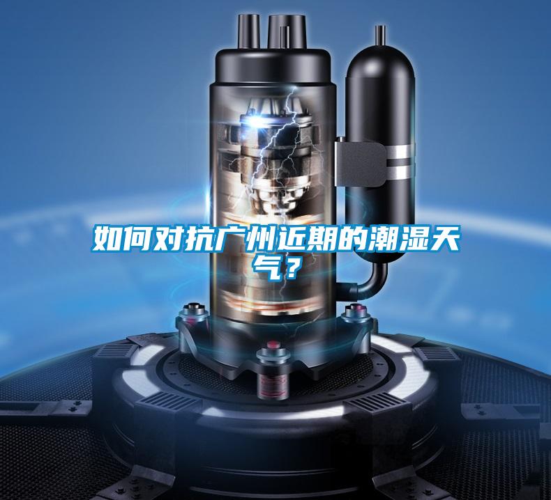 如何對抗廣州近期的潮濕天氣？