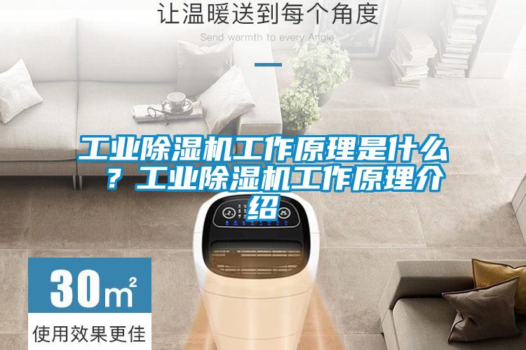 工業除濕機工作原理是什么 ？工業除濕機工作原理介紹