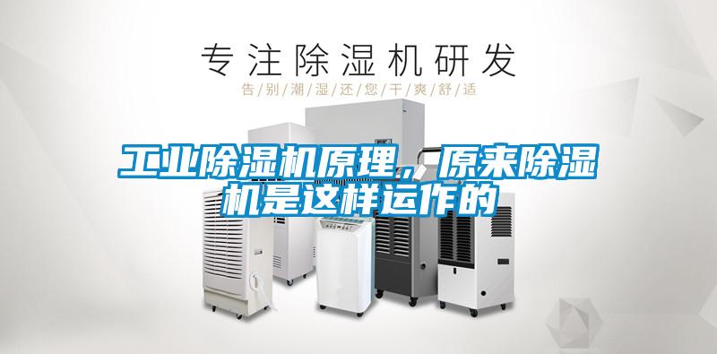 工業除濕機原理，原來除濕機是這樣運作的