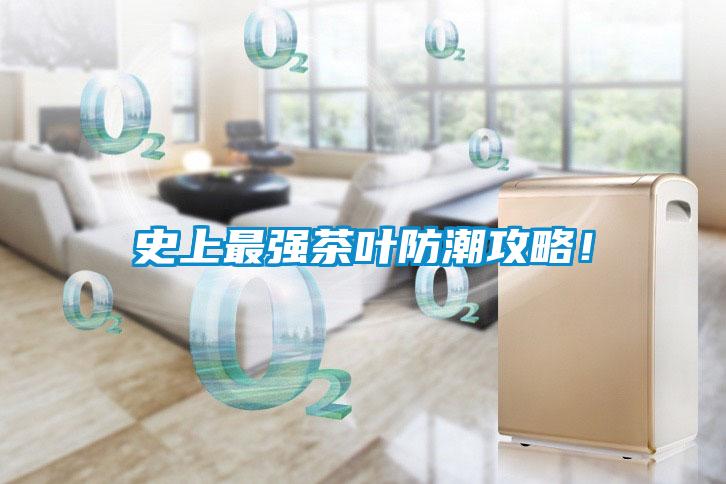史上最強(qiáng)茶葉防潮攻略！