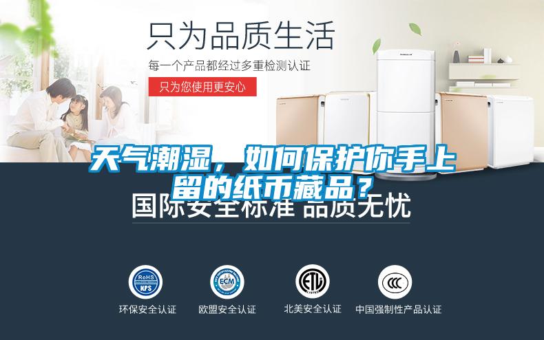 天氣潮濕，如何保護你手上留的紙幣藏品？