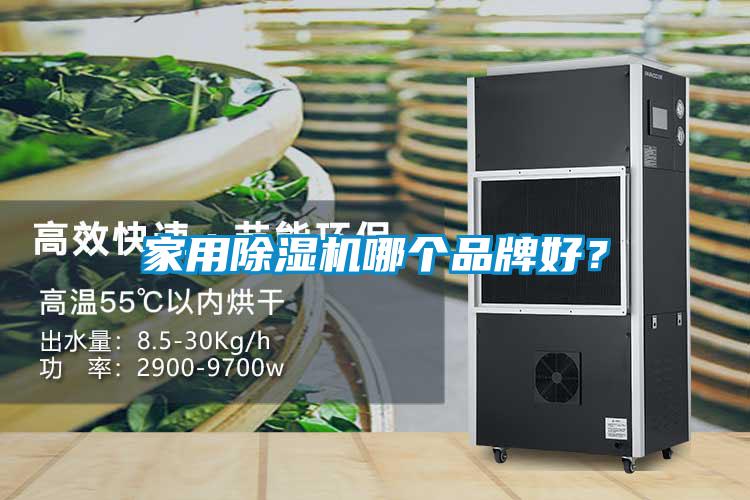 家用除濕機哪個品牌好？