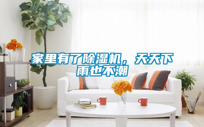 家里有了除濕機，天天下雨也不潮