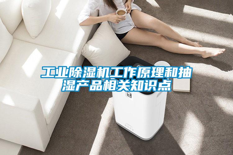 工業除濕機工作原理和抽濕產品相關知識點
