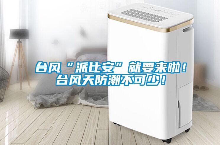 臺風(fēng)“派比安”就要來啦！臺風(fēng)天防潮不可少！