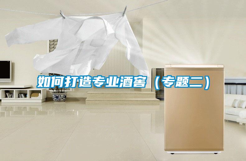 如何打造專業(yè)酒窖（專題二）