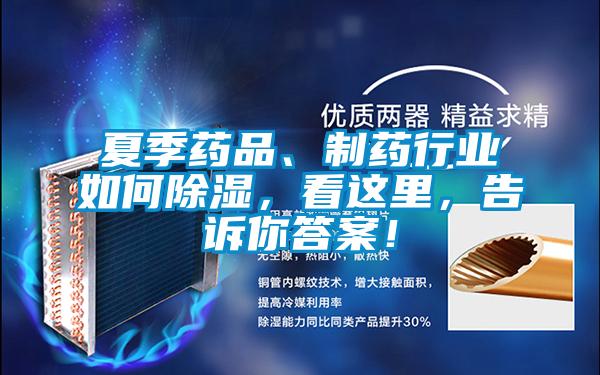 夏季藥品、制藥行業如何除濕，看這里，告訴你答案！