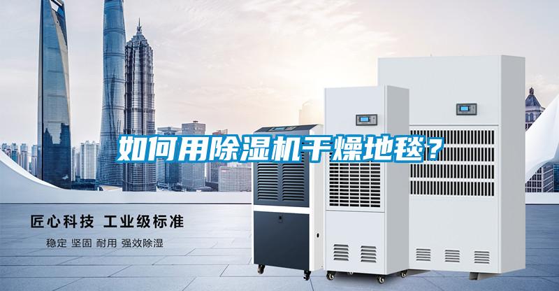 如何用除濕機干燥地毯？