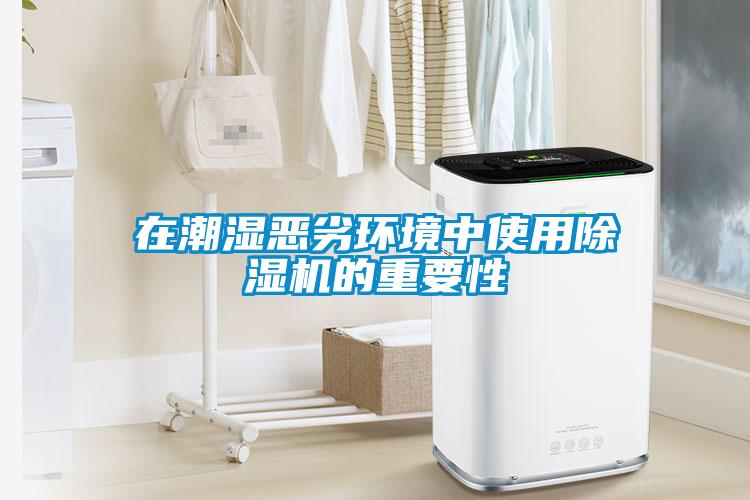 在潮濕惡劣環境中使用除濕機的重要性