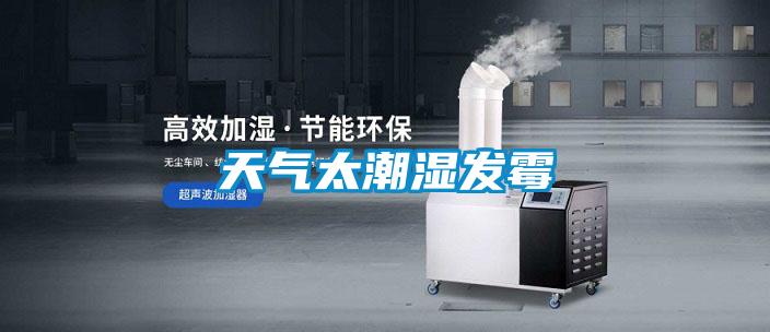 天氣太潮濕發(fā)霉
