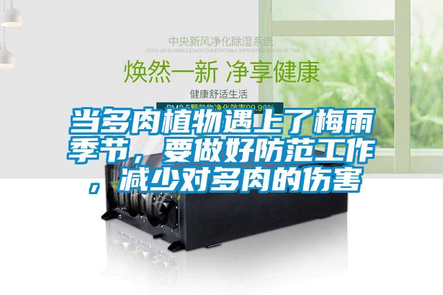 當(dāng)多肉植物遇上了梅雨季節(jié)，要做好防范工作，減少對多肉的傷害