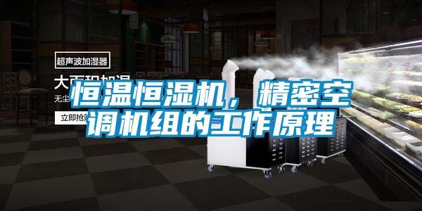 恒溫恒濕機，精密空調機組的工作原理