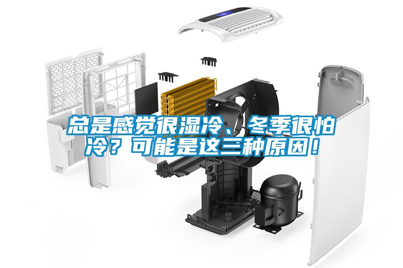 總是感覺很濕冷、冬季很怕冷？可能是這三種原因！