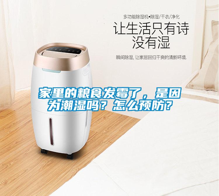 家里的糧食發(fā)霉了，是因為潮濕嗎？怎么預(yù)防？