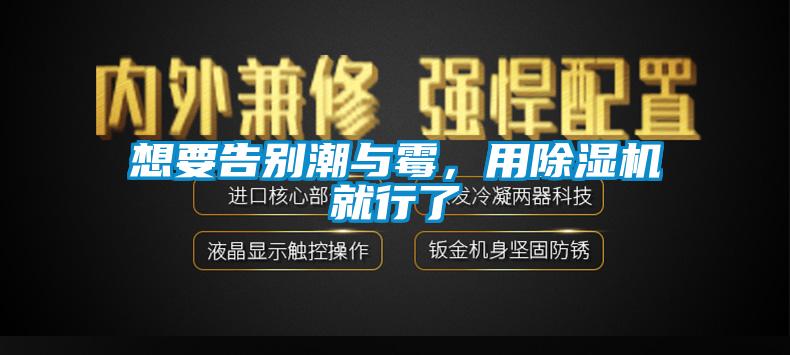 想要告別潮與霉，用除濕機就行了