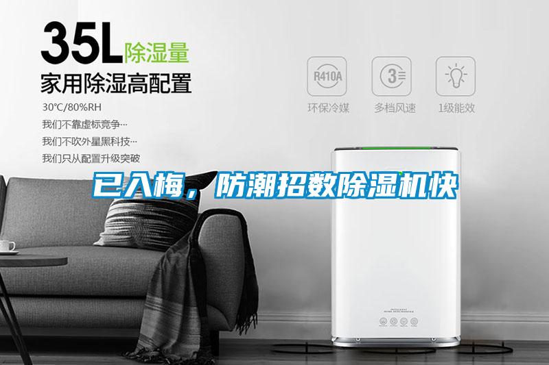 已入梅，防潮招數除濕機快