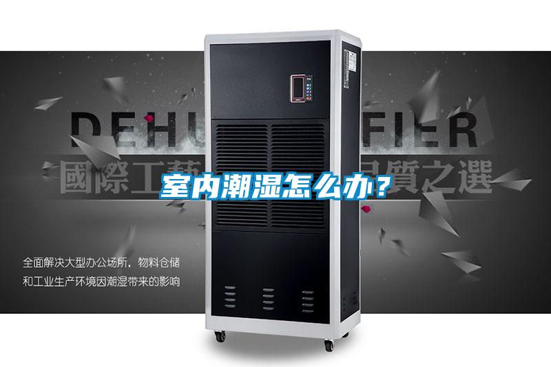 室內潮濕怎么辦？