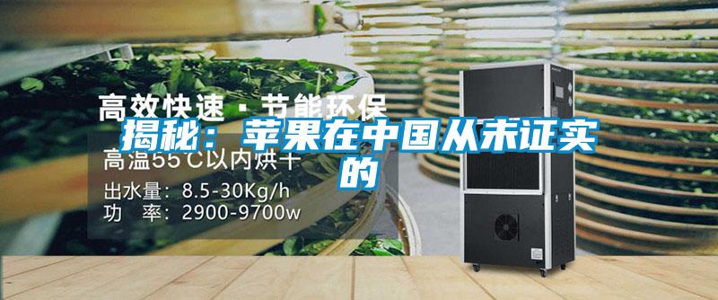 揭秘：蘋果在中國從未證實的