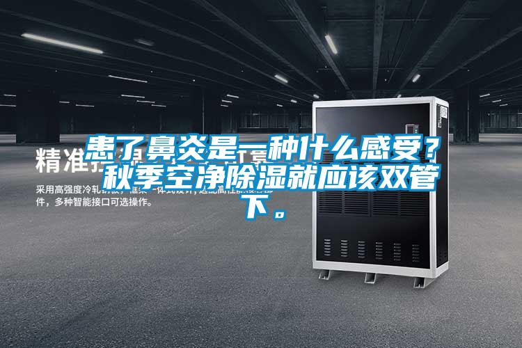 患了鼻炎是一種什么感受？ 秋季空凈除濕就應該雙管下。