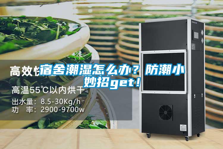 宿舍潮濕怎么辦？防潮小妙招g(shù)et！