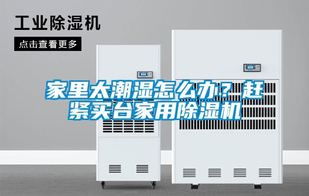 家里太潮濕怎么辦？趕緊買臺家用除濕機
