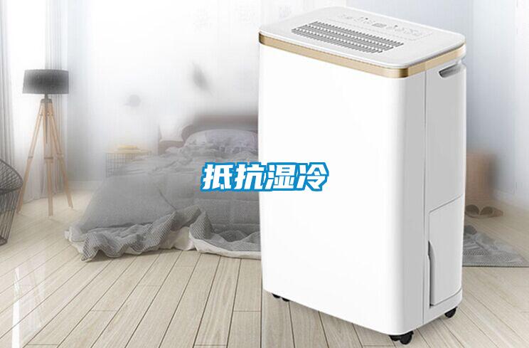 抵抗濕冷