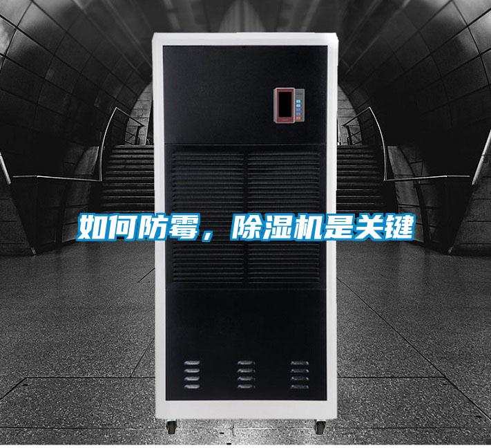 如何防霉，除濕機是關鍵