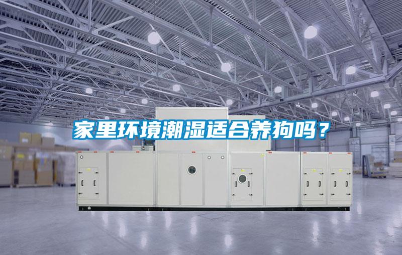 家里環境潮濕適合養狗嗎？