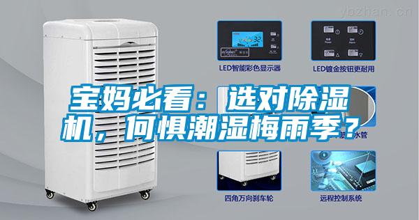 寶媽必看：選對除濕機，何懼潮濕梅雨季？