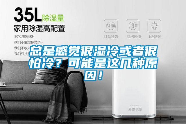 總是感覺很濕冷或者很怕冷？可能是這幾種原因！