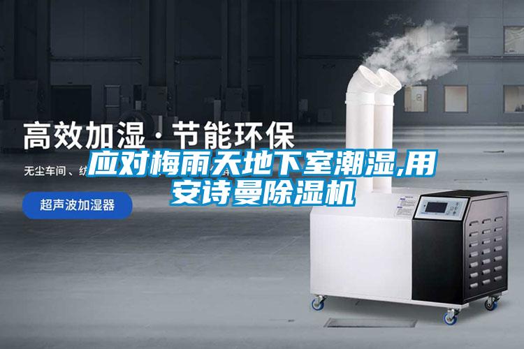 應對梅雨天地下室潮濕,用安詩曼除濕機