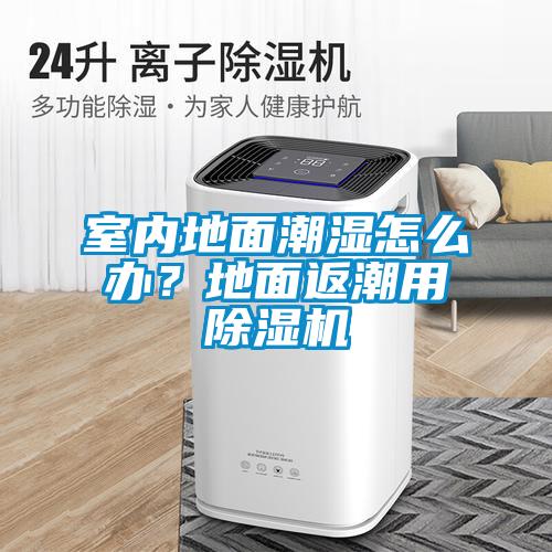 室內地面潮濕怎么辦？地面返潮用除濕機