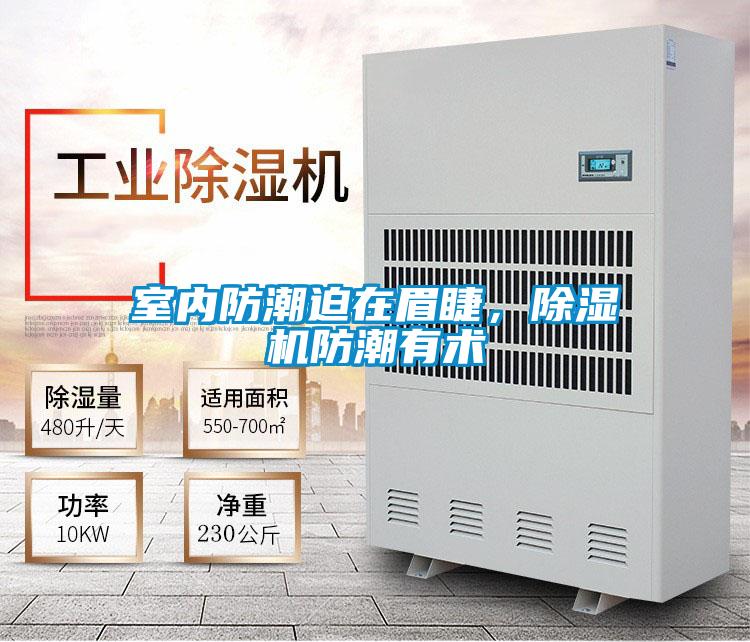 室內防潮迫在眉睫，除濕機防潮有術