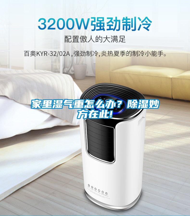 家里濕氣重怎么辦？除濕妙方在此!