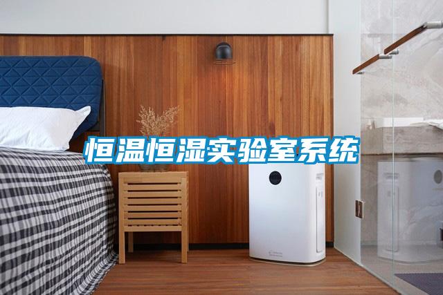 恒溫恒濕實驗室系統