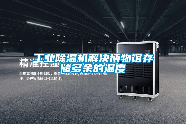工業除濕機解決博物館存儲多余的濕度