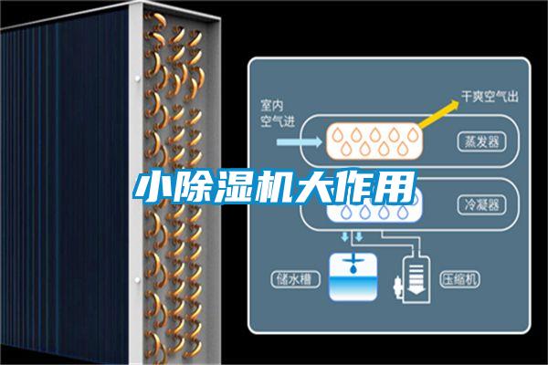 小除濕機大作用