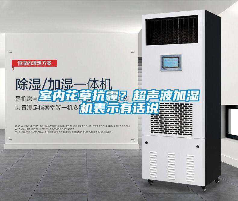 室內花草抗霾？超聲波加濕機表示有話說