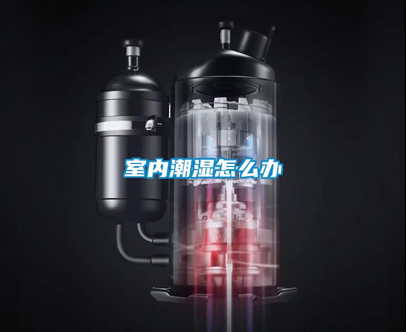 室內潮濕怎么辦