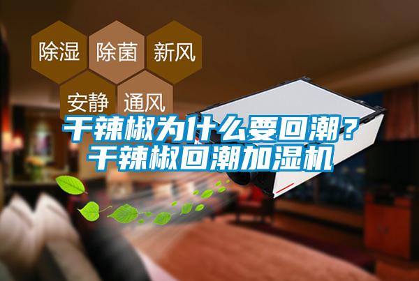 干辣椒為什么要回潮？干辣椒回潮加濕機