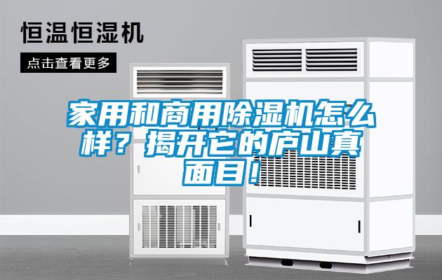 家用和商用除濕機(jī)怎么樣？揭開它的廬山真面目！