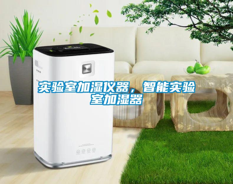 實驗室加濕儀器，智能實驗室加濕器