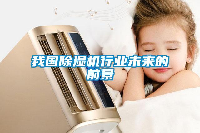 我國除濕機行業未來的前景