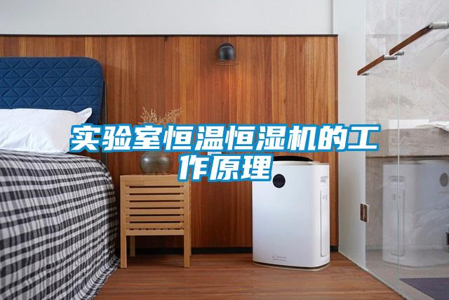 實驗室恒溫恒濕機的工作原理