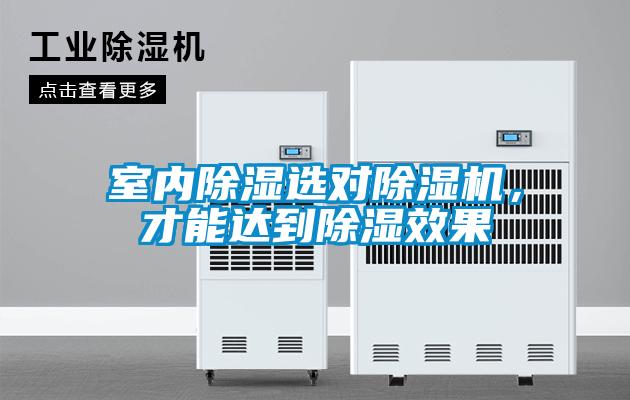 室內(nèi)除濕選對除濕機，才能達(dá)到除濕效果