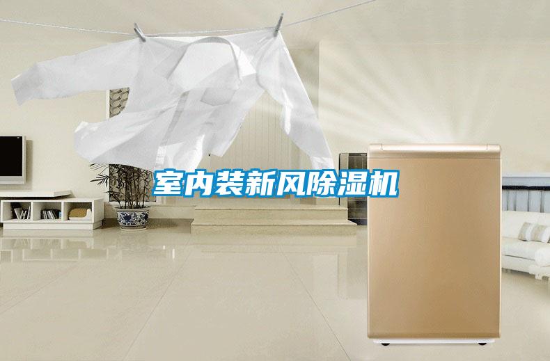 室內(nèi)裝新風(fēng)除濕機(jī)