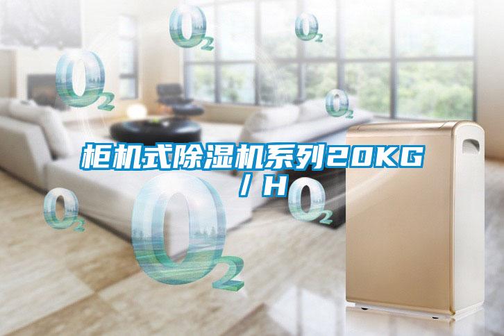 柜機式除濕機系列20KG／H