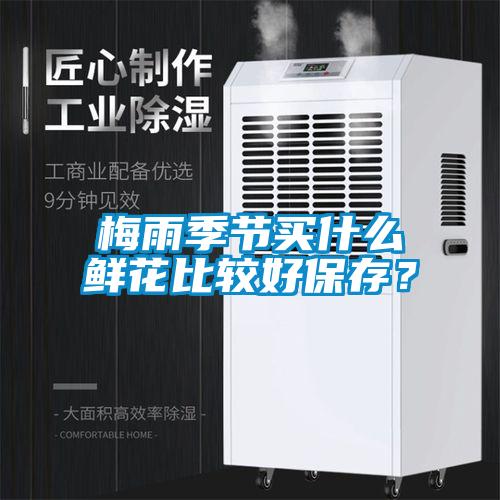 梅雨季節(jié)買什么鮮花比較好保存？