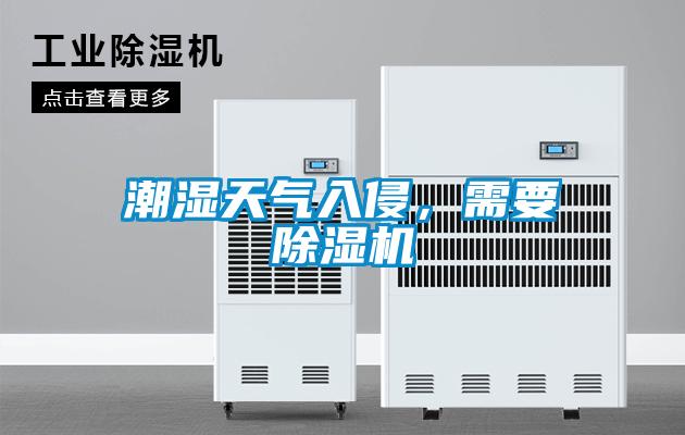 潮濕天氣入侵，需要除濕機