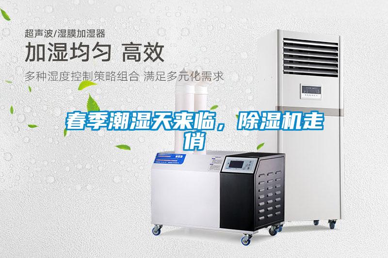 春季潮濕天來臨，除濕機走俏